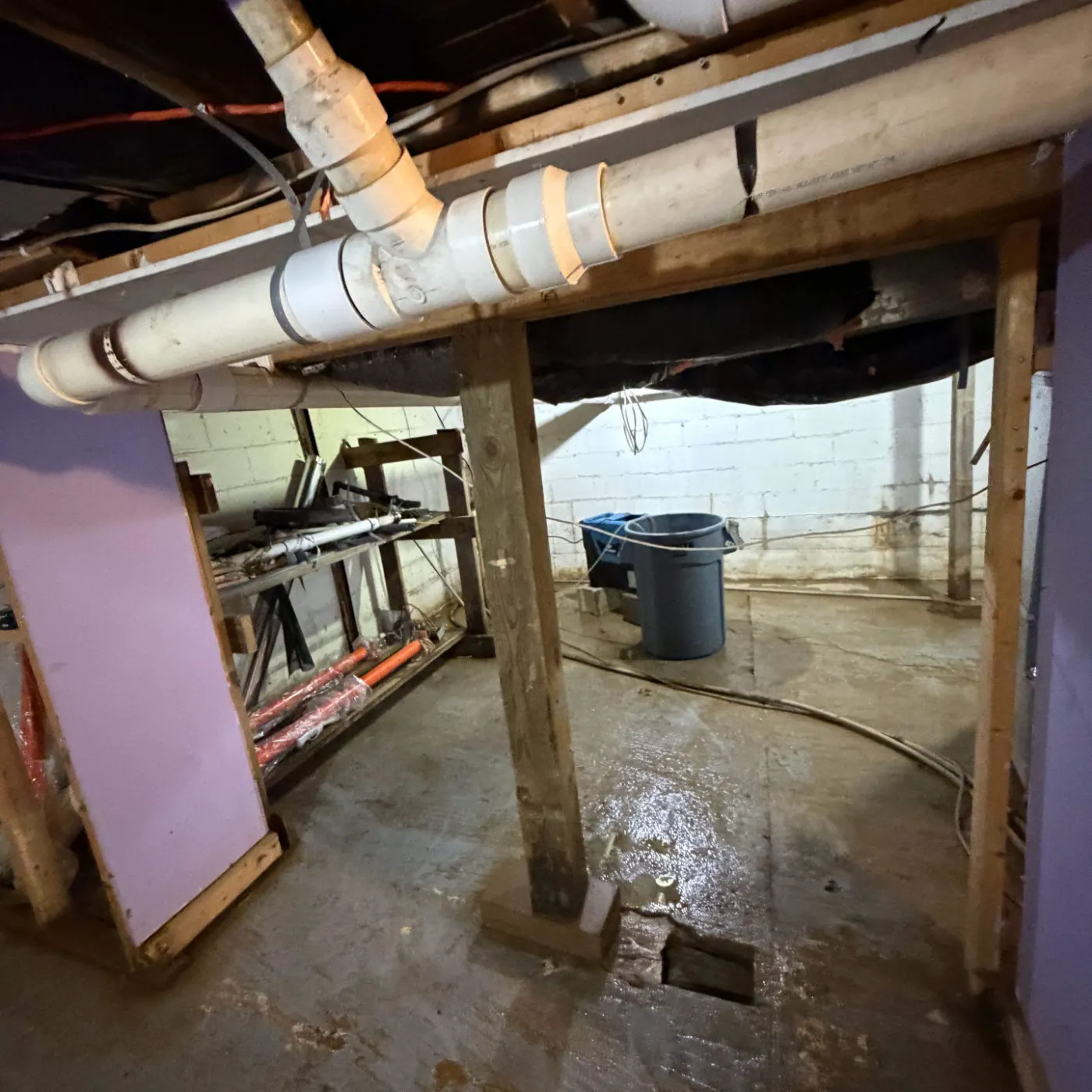 How Long Does Water Damage Take to Dry in Trader's Point